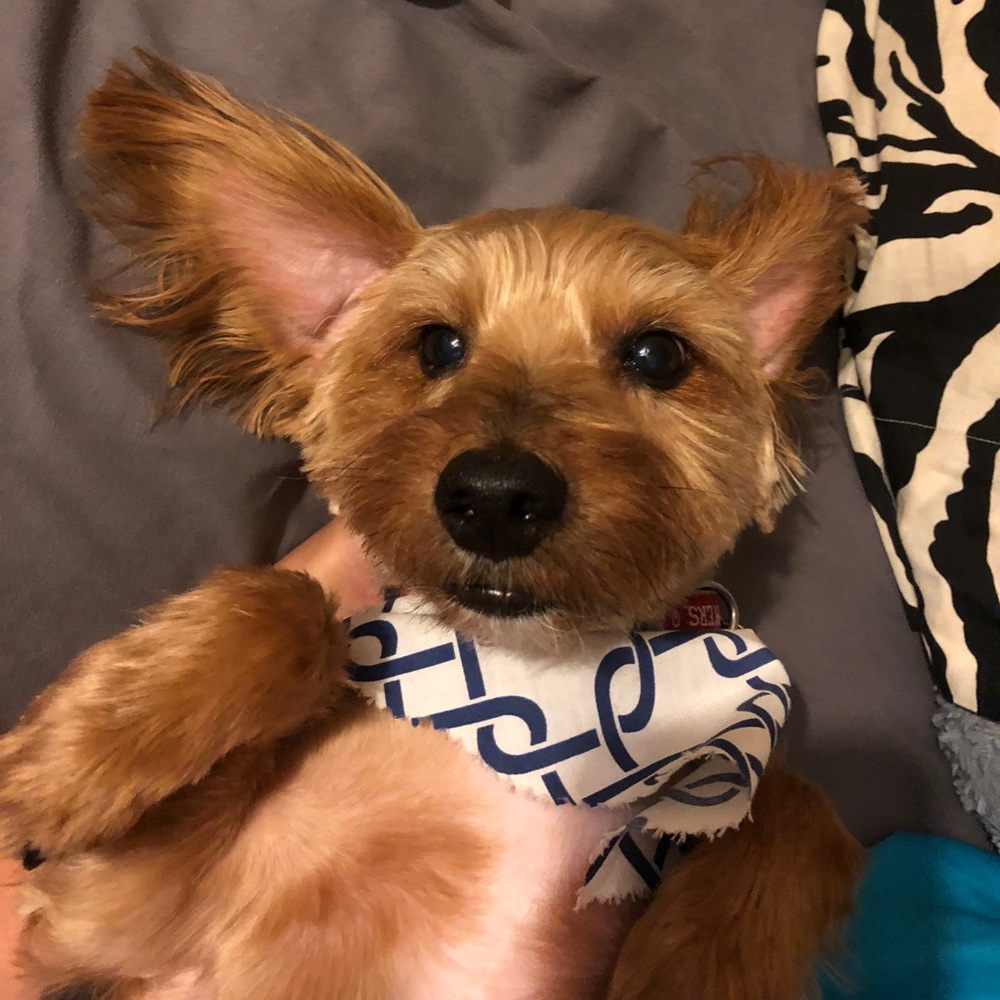 Meet your Posher, Kristen